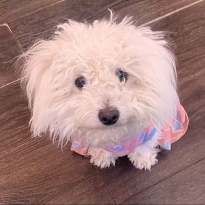 Meet your Posher, Lori